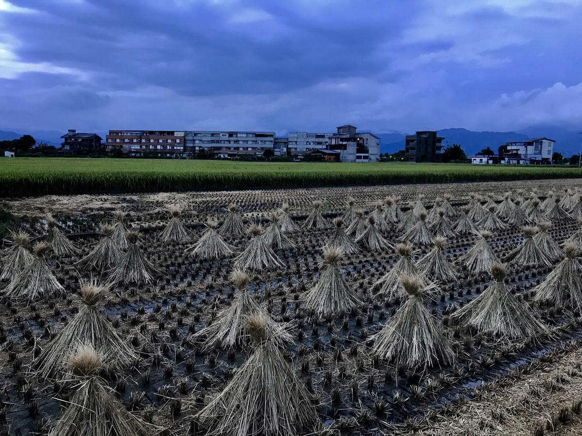 夏初民宿Early Summer 罗东镇 外观 照片