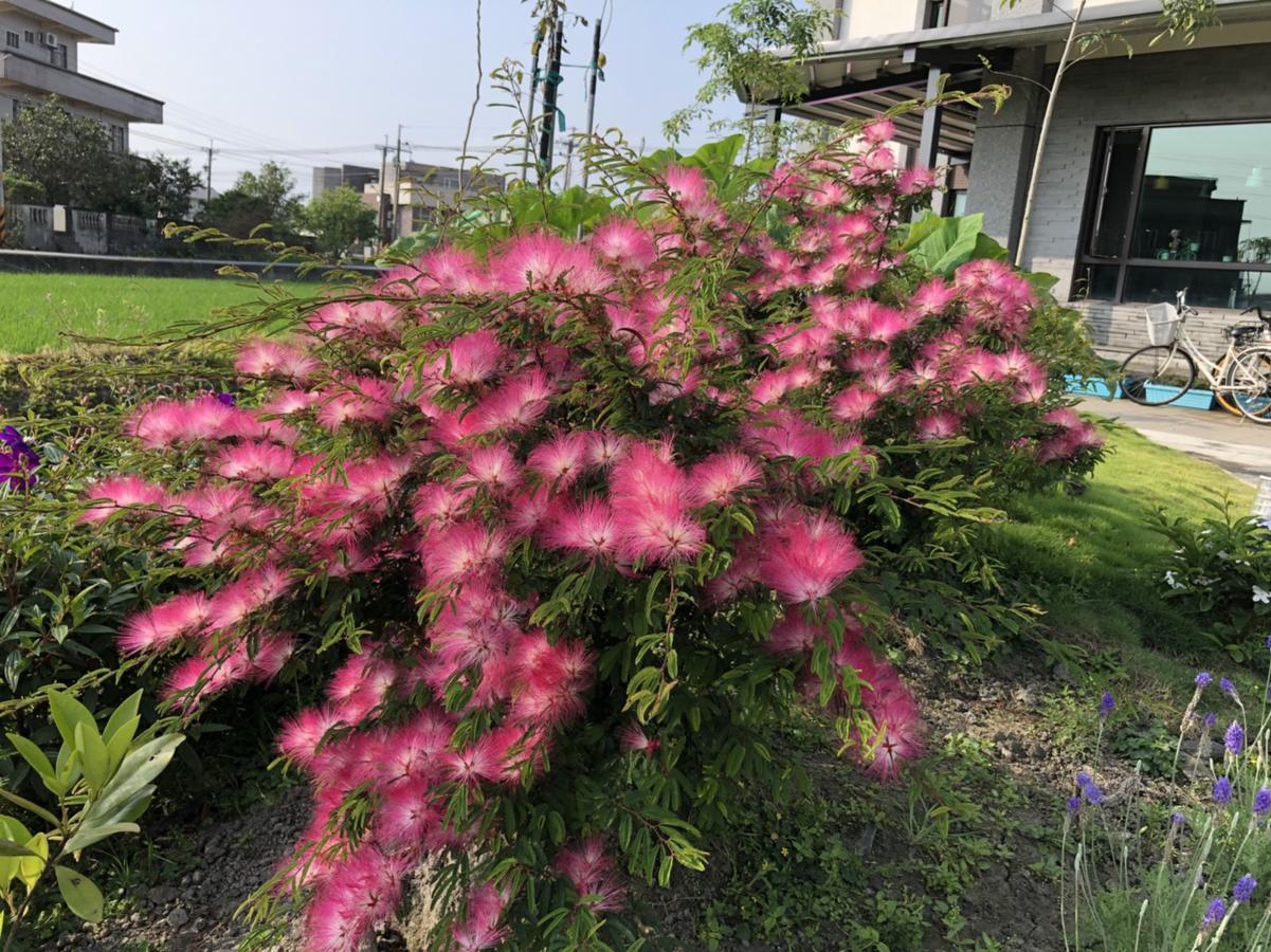 罗东镇夏初民宿Early Summer住宿加早餐旅馆 外观 照片